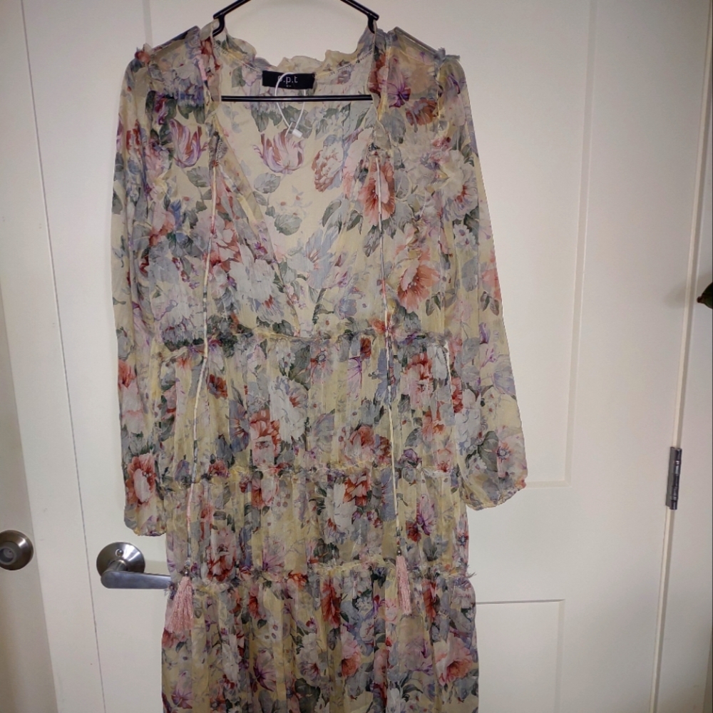 Beautiful Sheer dress